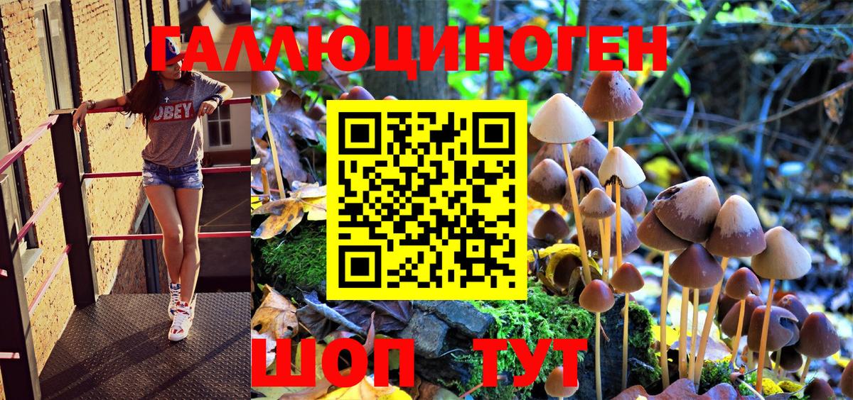 Галлюциногенные грибы Psilocybe Верхний Уфалей